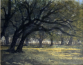 Jeff Williams Painting 7 Coralina Shadows