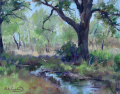 John Caggiano Flowing Water 11 X 14 Inches DSC04430 (1)