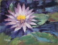Ray Hassard Comp 3 Splendor Pastel 9x12 950