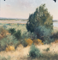Shawn Cornell #1 A Day at the Park 14x14.5 $1,010