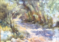 Spencer Meagher #8 Call it a Wash 16x12 Watercolor $1,200